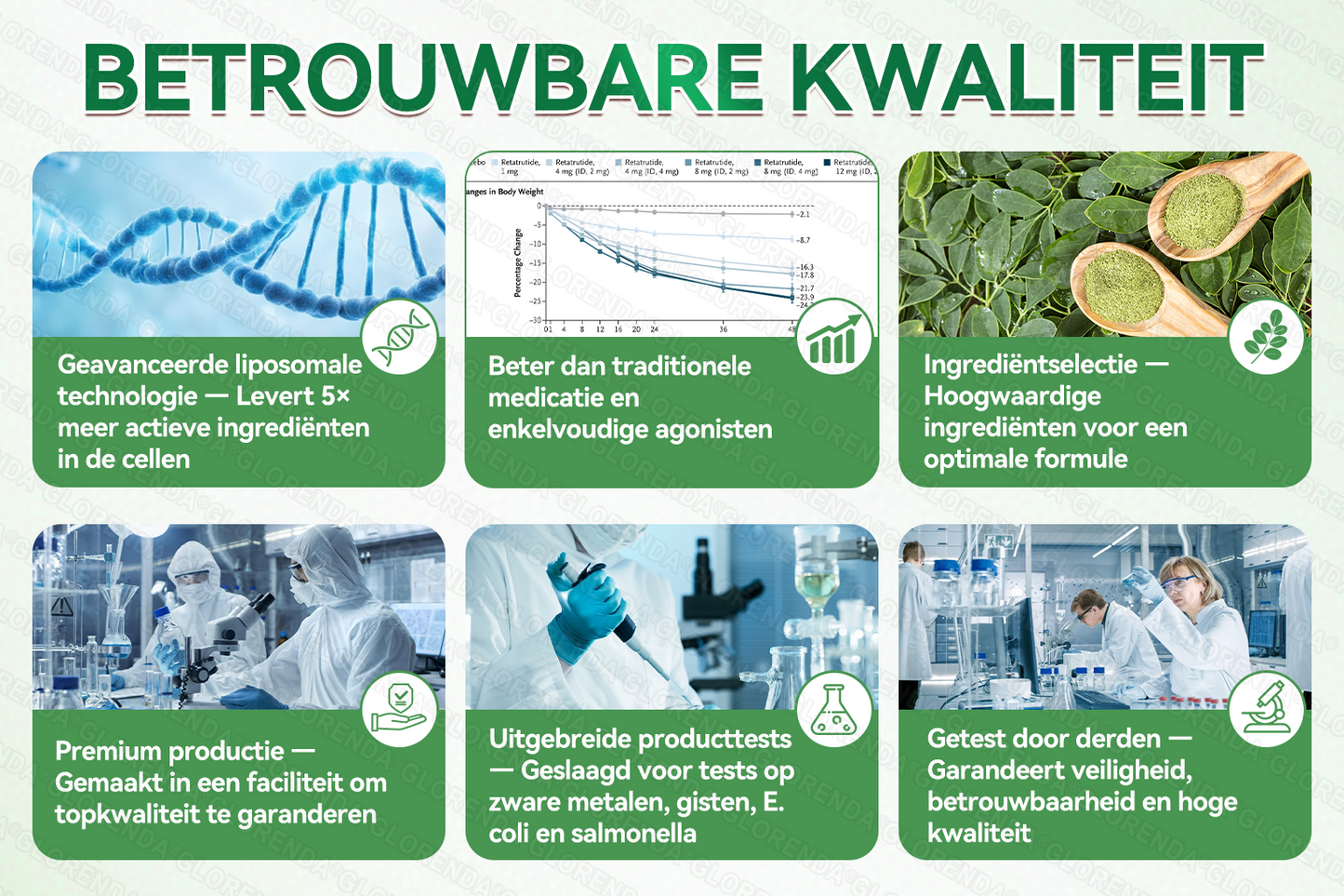 Officiële winkel | 🌻🌻 𝗚𝗟𝗢𝗥𝗘𝗡𝗗𝗔® Moringa · Berberine + NAD+ – 10-in-1 Geavanceerde Nano Micronaald Patch (slechts 1× per dag, zichtbare veranderingen binnen 7 dagen) | Voor obesitas, losse huid, diabetes, slaapapneu, gewrichtsproblemen en meer