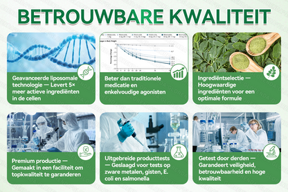 Officiële winkel | 🌻🌻 𝗚𝗟𝗢𝗥𝗘𝗡𝗗𝗔® Moringa · Berberine + NAD+ – 10-in-1 Geavanceerde Nano Micronaald Patch (slechts 1× per dag, zichtbare veranderingen binnen 7 dagen) | Voor obesitas, losse huid, diabetes, slaapapneu, gewrichtsproblemen en meer