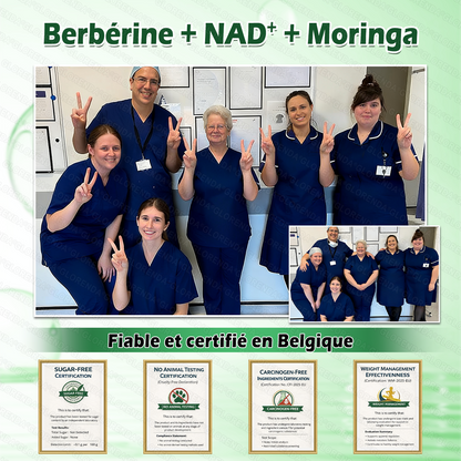 Boutique officielle 🌻🌻 𝐆𝐋𝐎𝐑𝐄𝐍𝐃𝐀® Moringa · Berbérine + NAD+ – Patch Microneedle Nano Avancé 10-en-1 (1×/jour, résultats visibles en 7 jours) | Obésité, relâchement cutané, apnée du sommeil, articulations, etc.