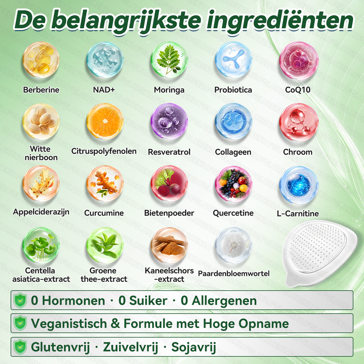 Officiële winkel | 🌻🌻 𝗚𝗟𝗢𝗥𝗘𝗡𝗗𝗔® Moringa · Berberine + NAD+ – 10-in-1 Geavanceerde Nano Micronaald Patch (slechts 1× per dag, zichtbare veranderingen binnen 7 dagen) | Voor obesitas, losse huid, diabetes, slaapapneu, gewrichtsproblemen en meer